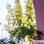 Hauptrestaurant am Strand des Blauen Meeres